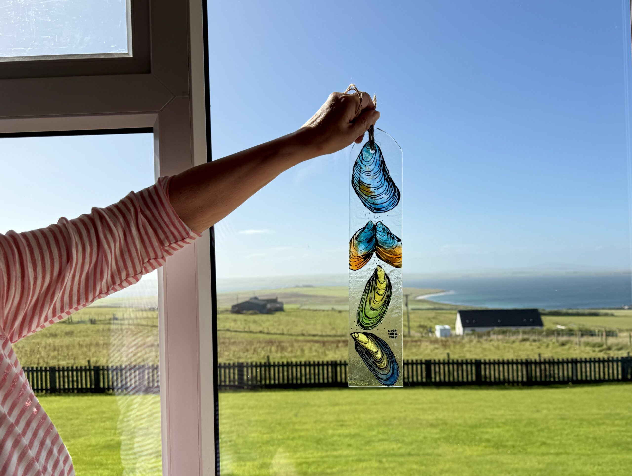 MUSSELS - Window Hanger - Image 2