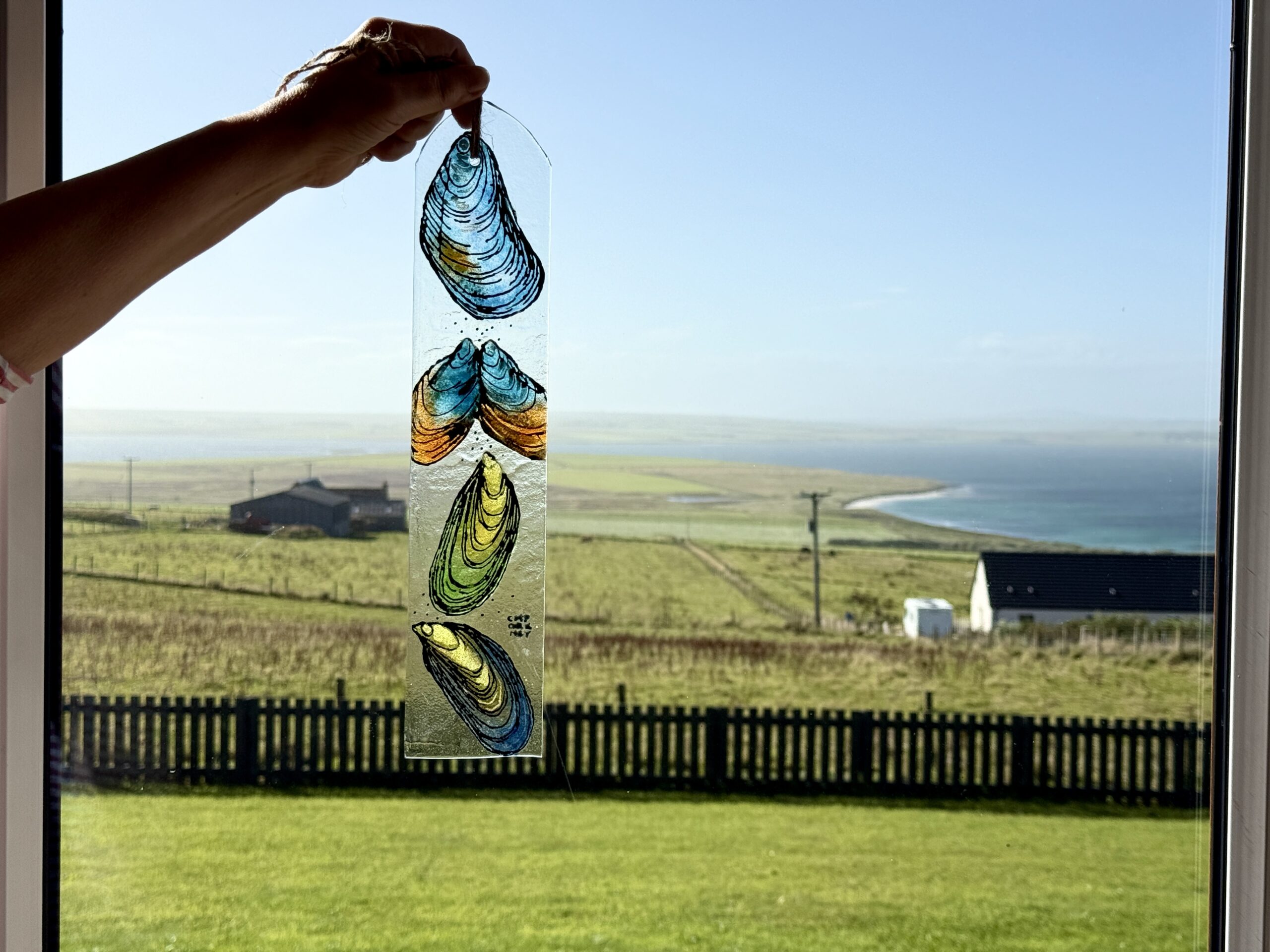 MUSSELS - Window Hanger - Image 4