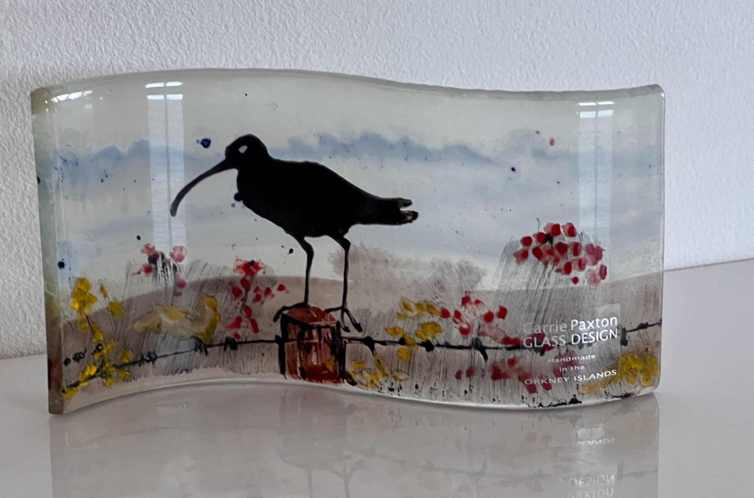Mini Curlew Curve 2. - Image 2