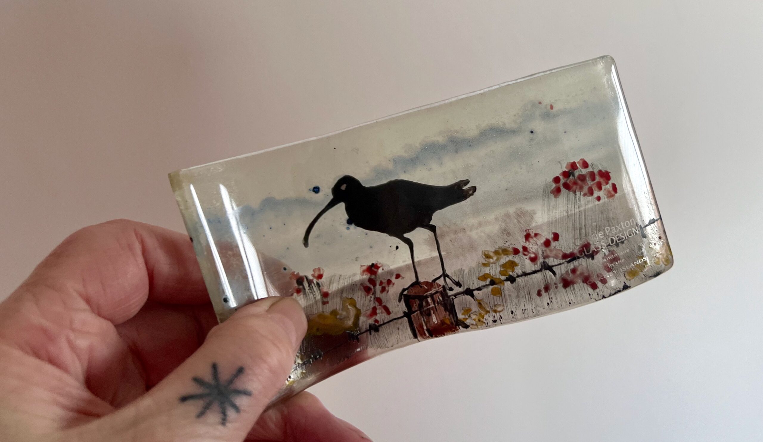 Mini Curlew Curve 2.